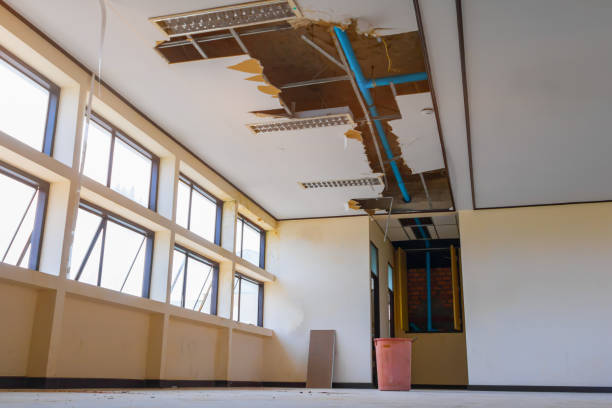 Best Water damage restoration specialists  in Bromley, KY