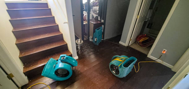 Best Residential water damage restoration  in Bromley, KY