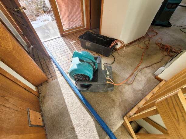 Best Local water damage restoration  in Bromley, KY