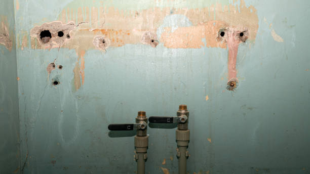 Best Ceiling water damage repair  in Bromley, KY
