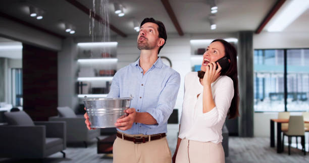 Best Basement water damage restoration  in Bromley, KY